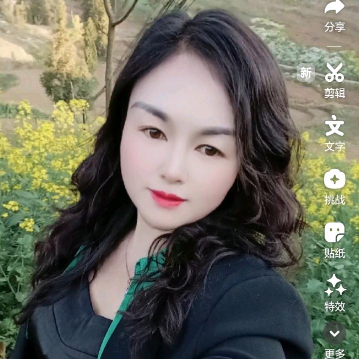 黄玫瑰
