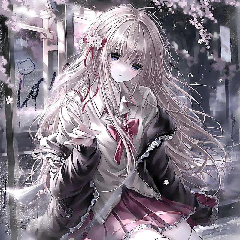 圆
