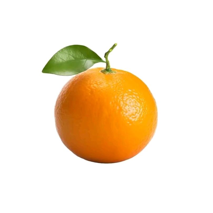 橘子