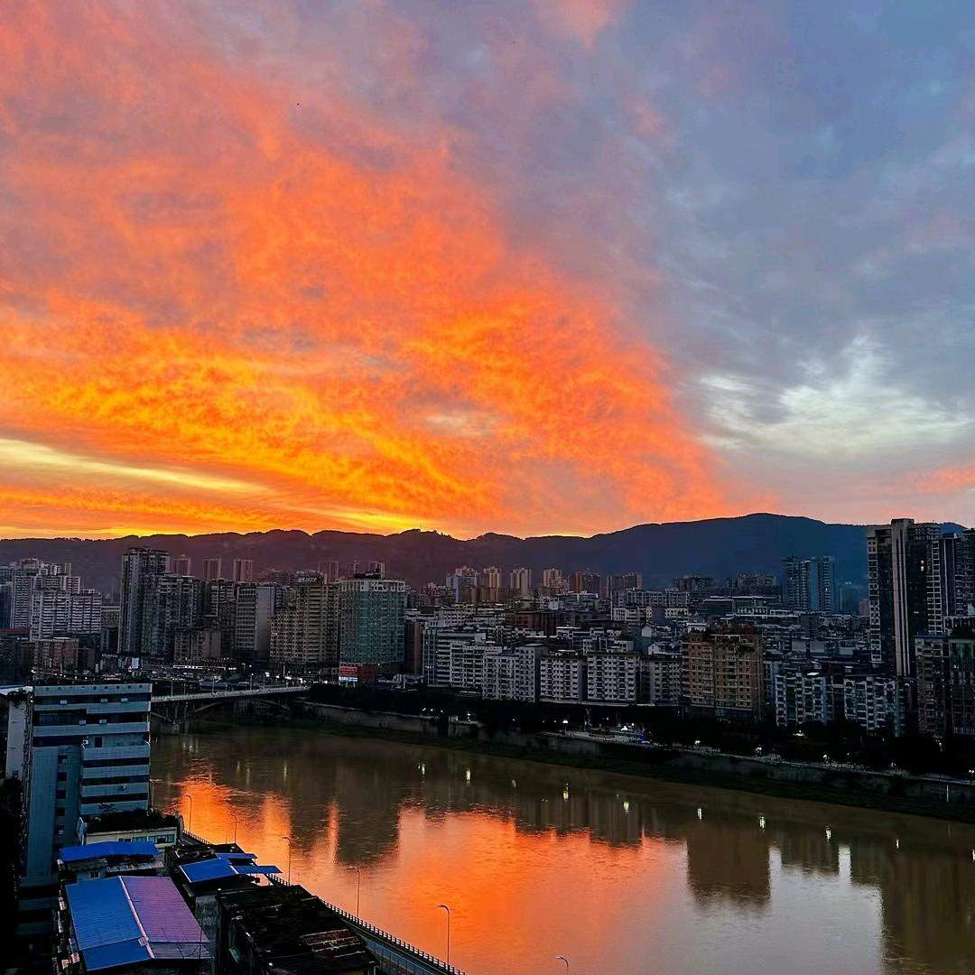 杨阳洋