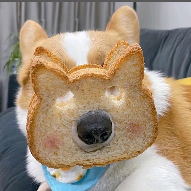 满屋零食