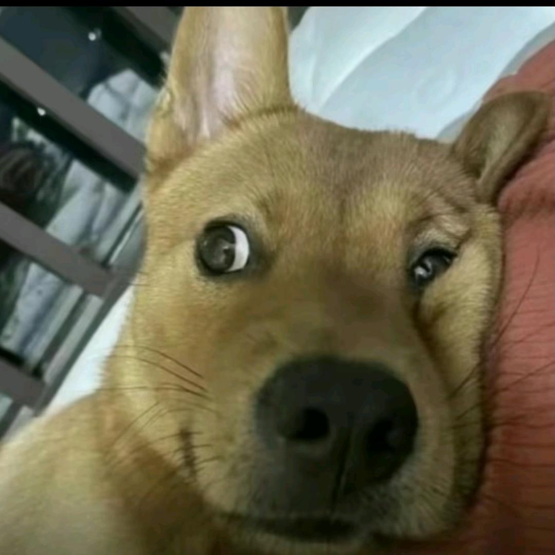 小钏