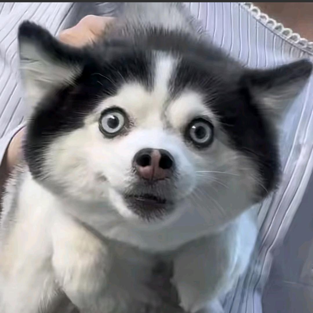 成为富婆bao养男模