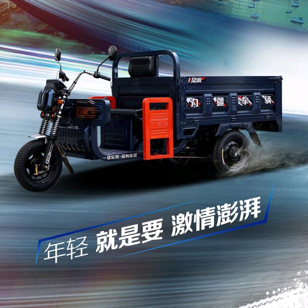 （力疆车辆)工厂直销