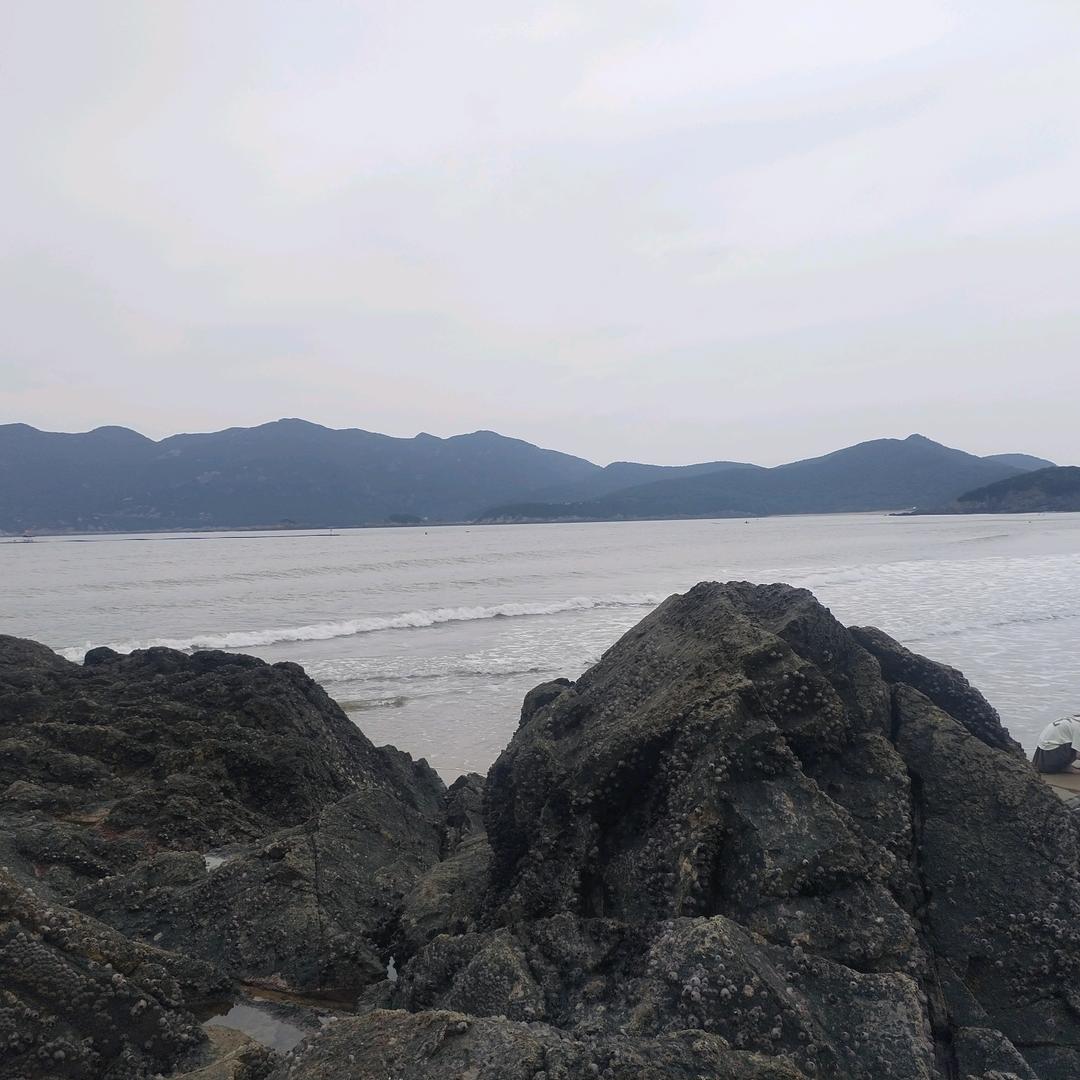 浪漫