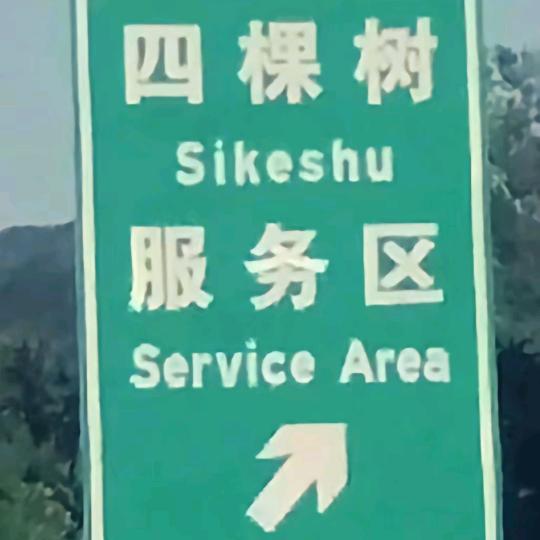 大马猴吃拖鞋