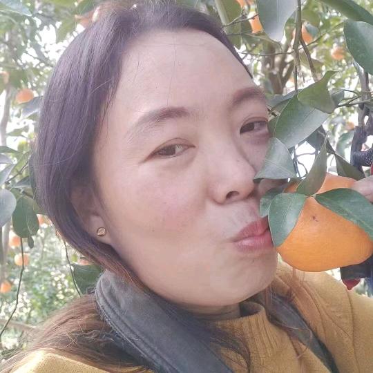 罗家姑凉