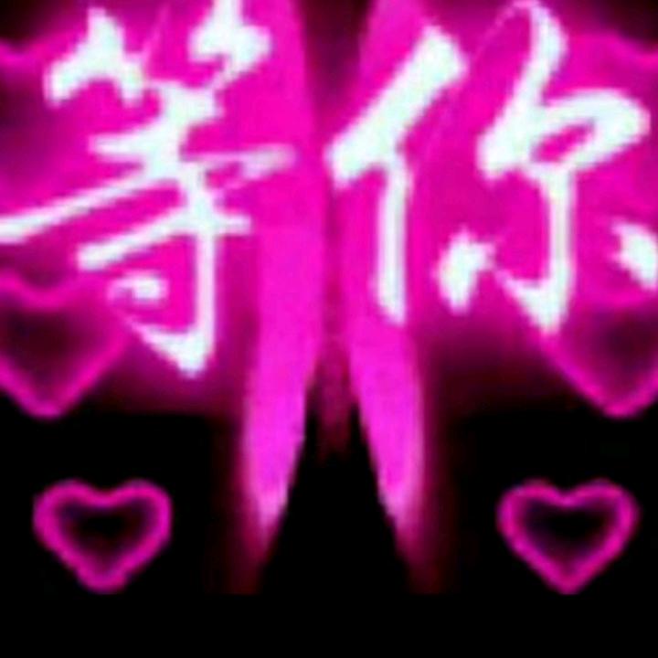 皖北犬业养殖