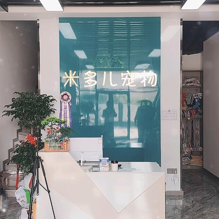 万辉国际米多儿宠物店解决宠物掉毛问题