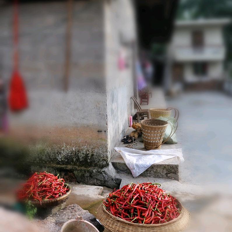 团子好物