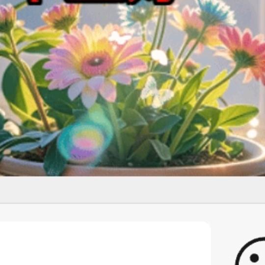 张雪芳🍀🍀🌺🌺