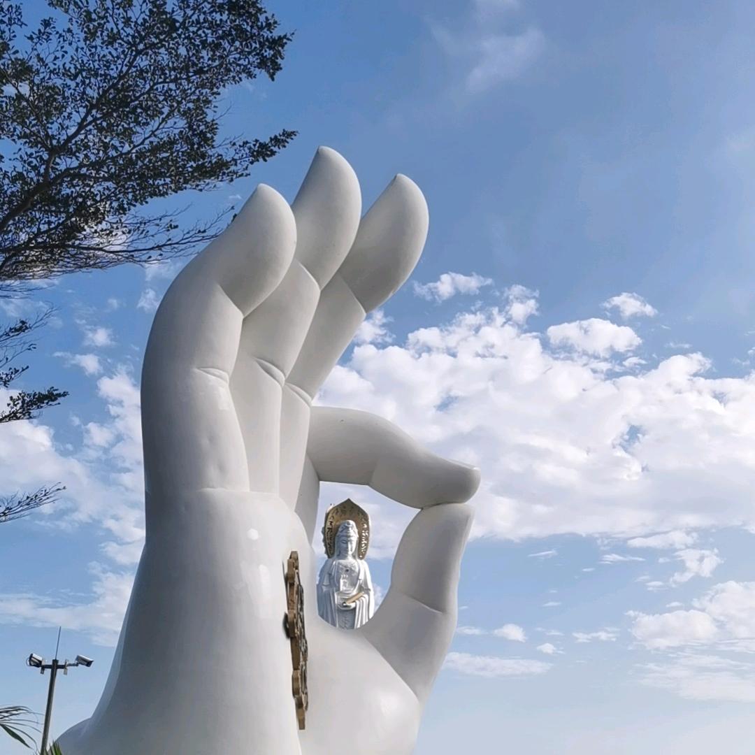 网络风云