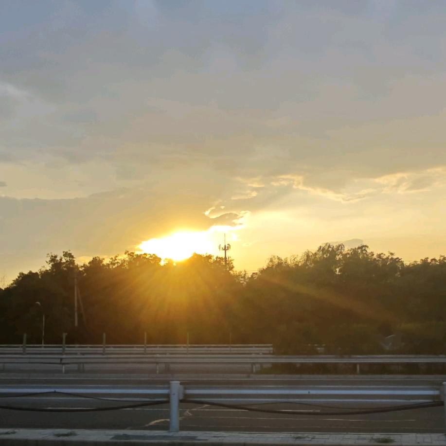 吃不胖的排骨哥