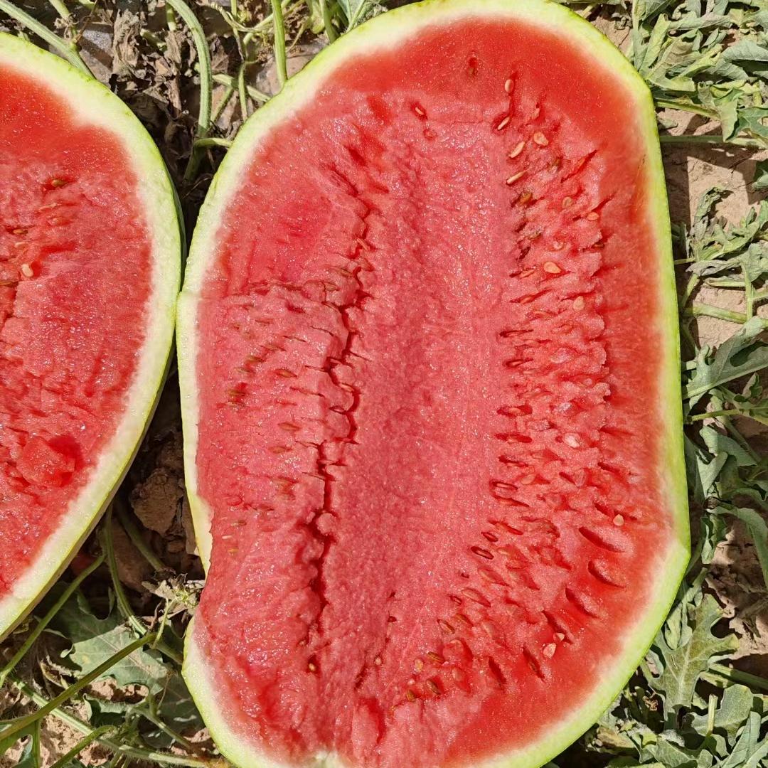 宁夏小杨石头瓜硒砂瓜代办代发