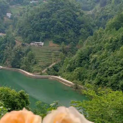 慢慢🌸体会🌸