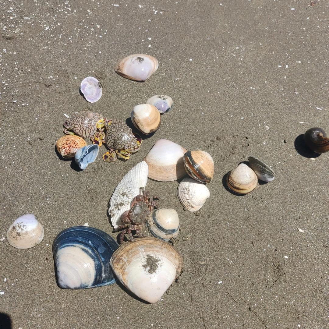 大哥别走，等等我