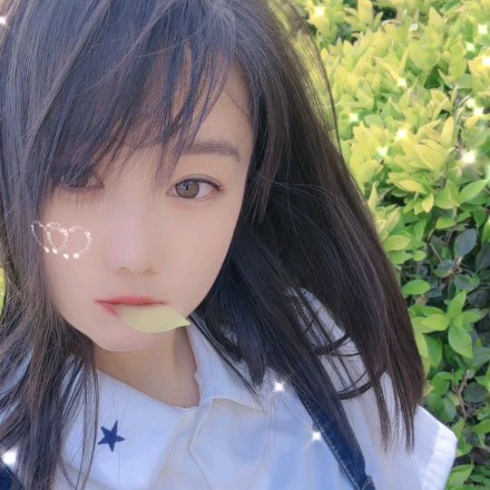 中原麦麦2