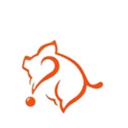 俊仔隆江猪脚饭