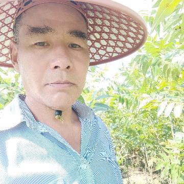 杭州临安鑫丰苗场