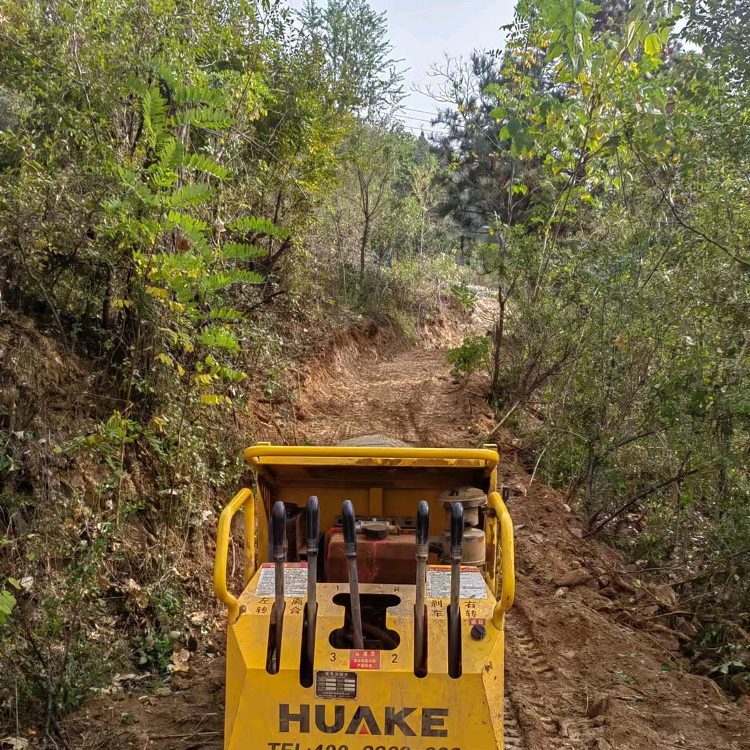 栾川爬山虎运输