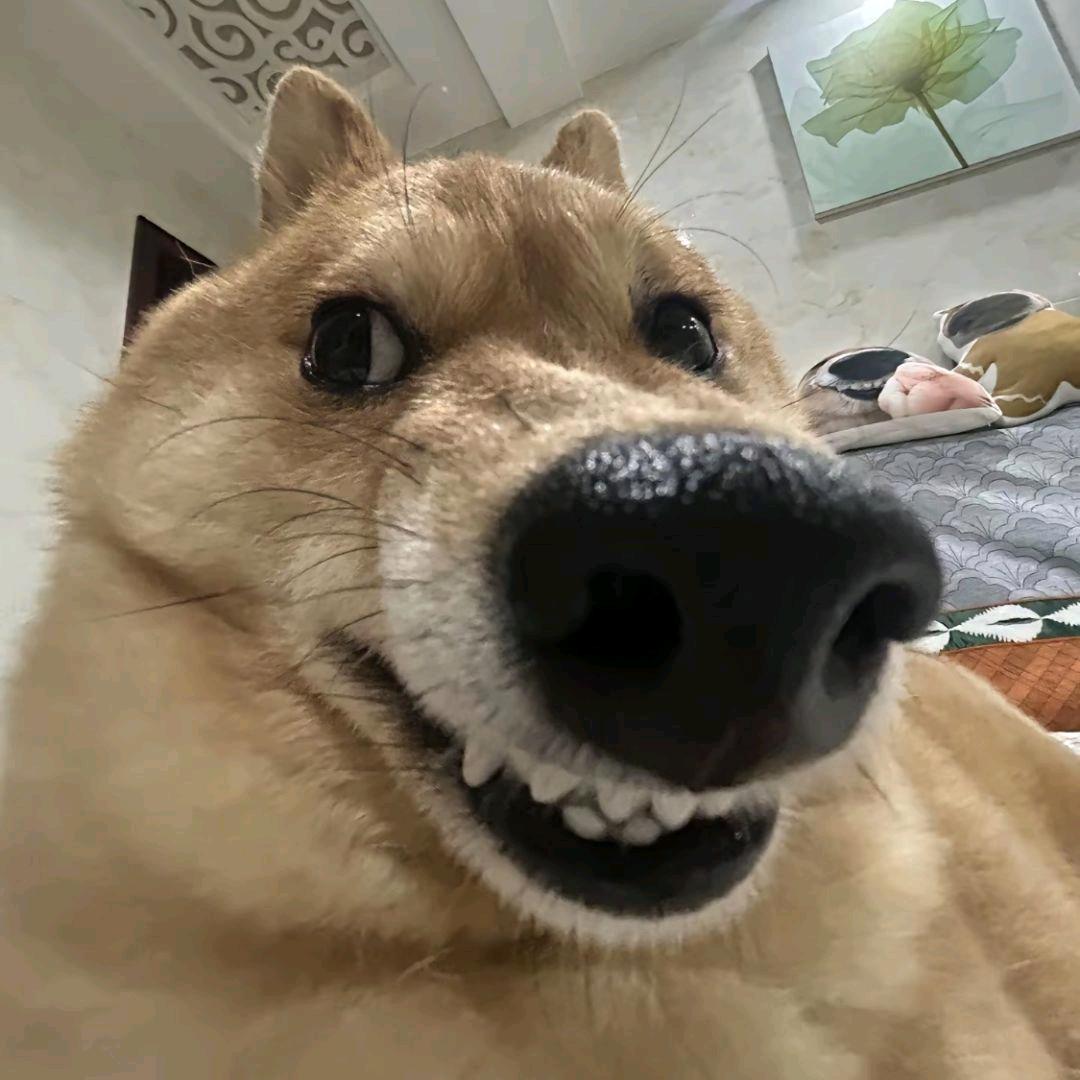 洋洋洋洋洋洋洋洋洋の