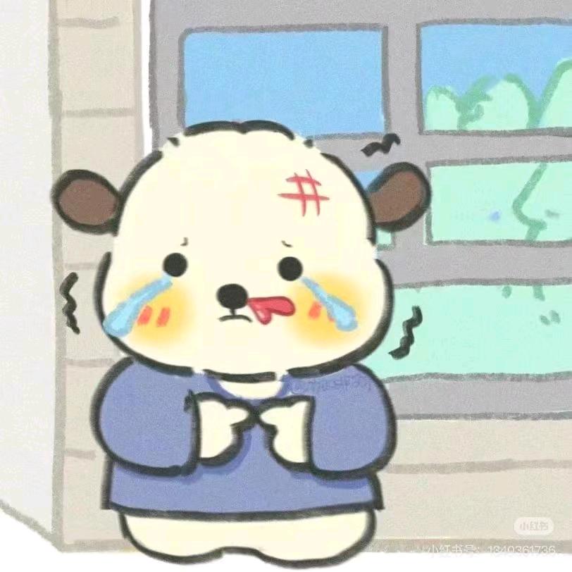 十一