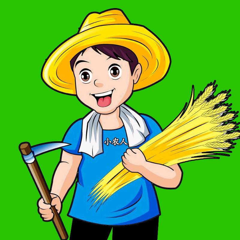 芳姐农资