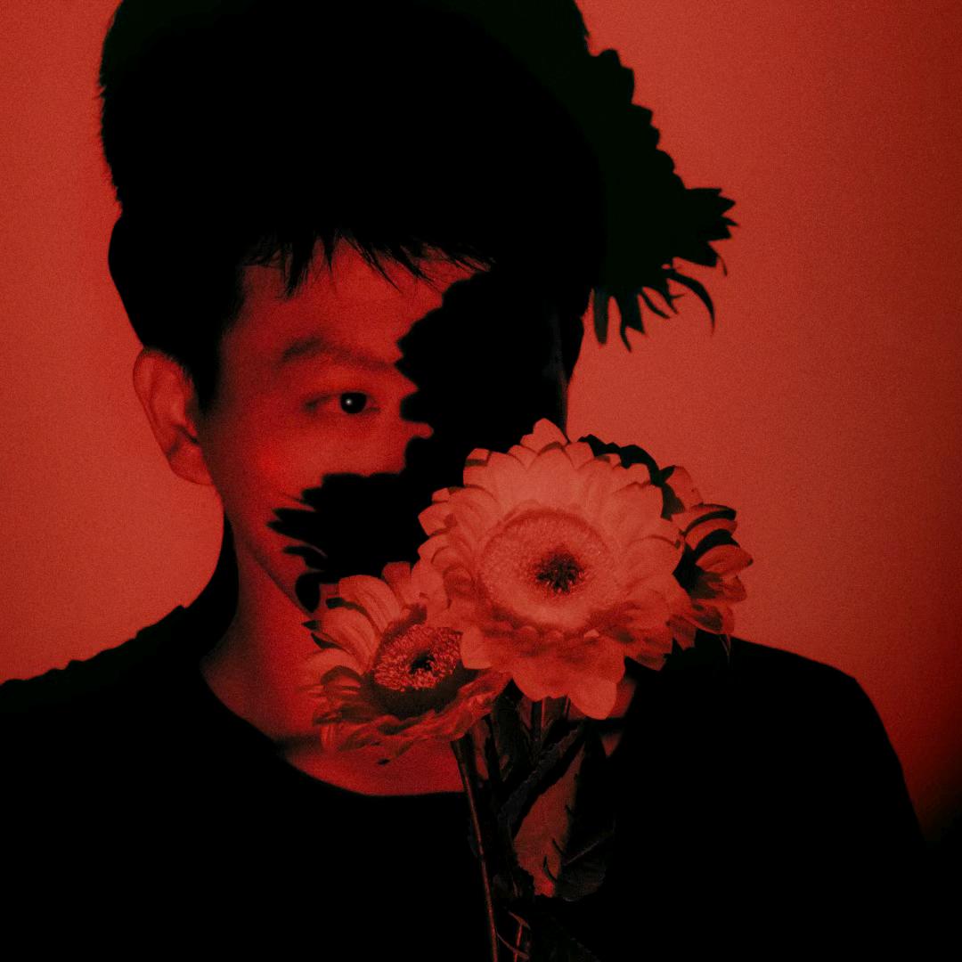 风歌📸