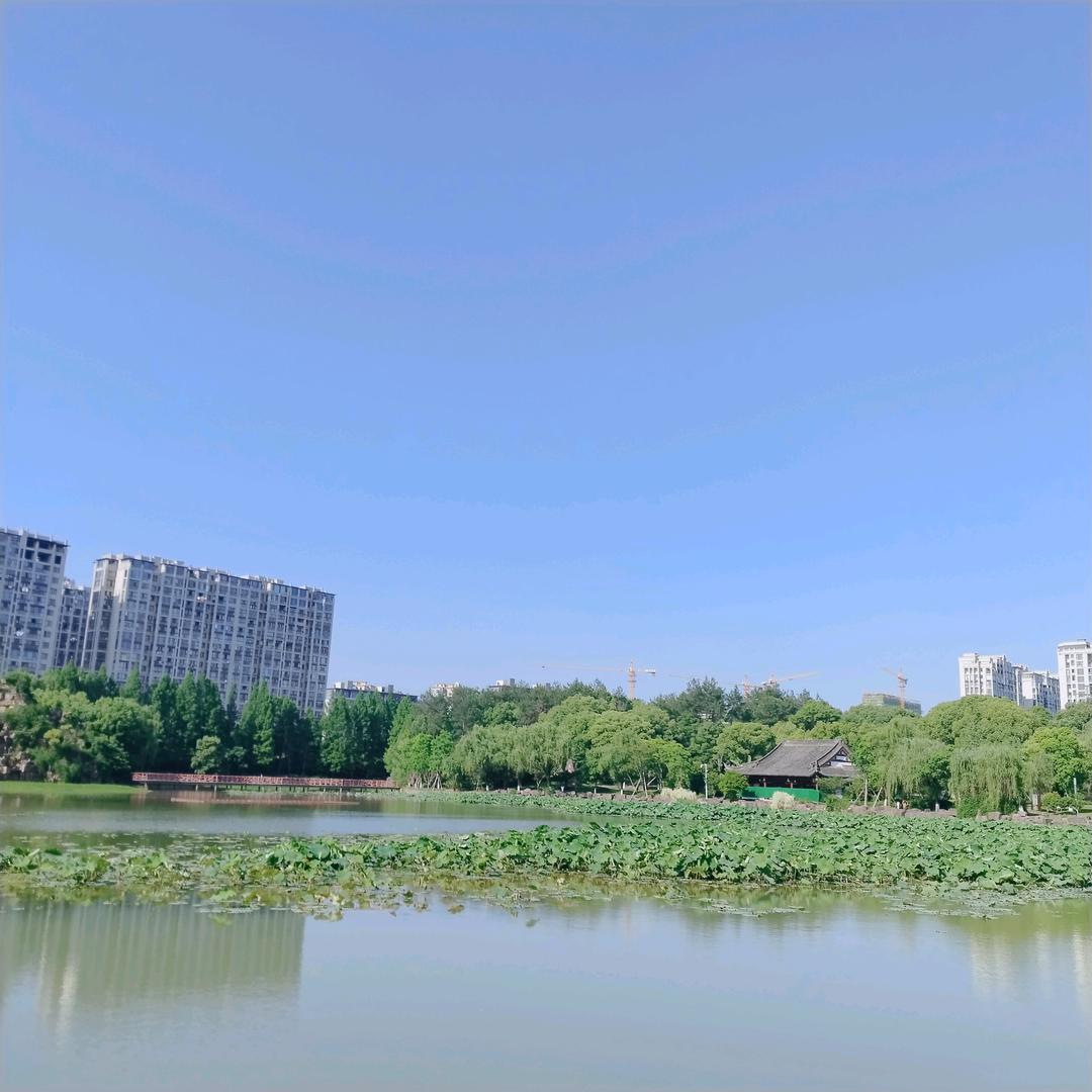 秋姐520