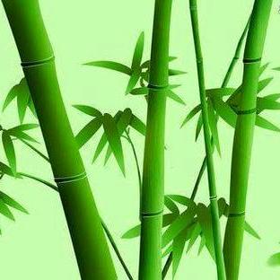 放下