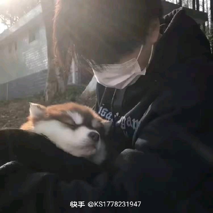 .   .开心租房