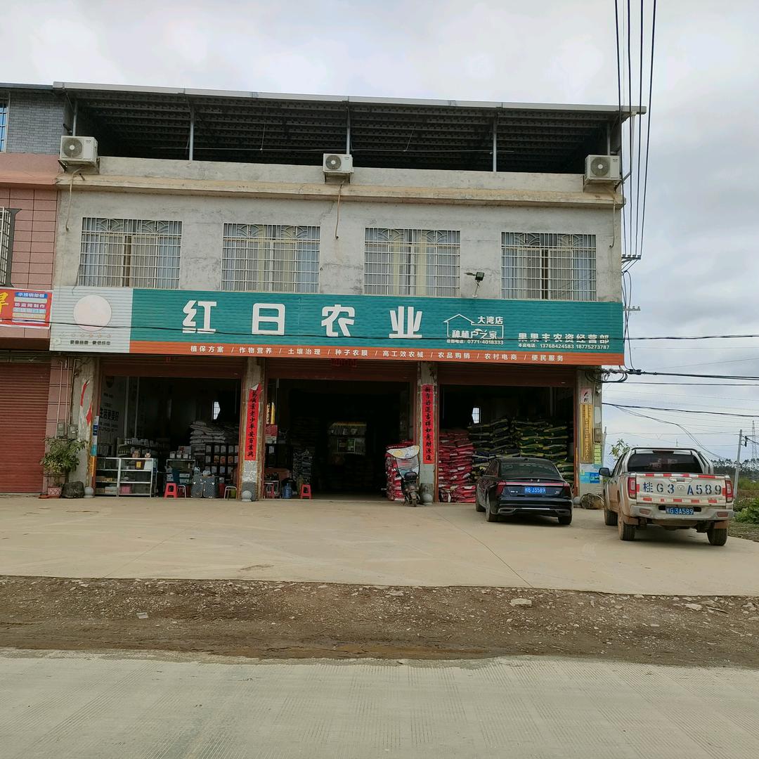 大湾红日农业连锁店