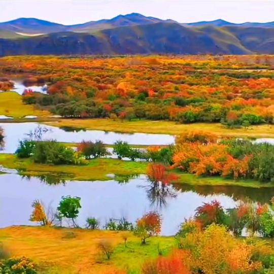 黄岛轮胎，小闫哥