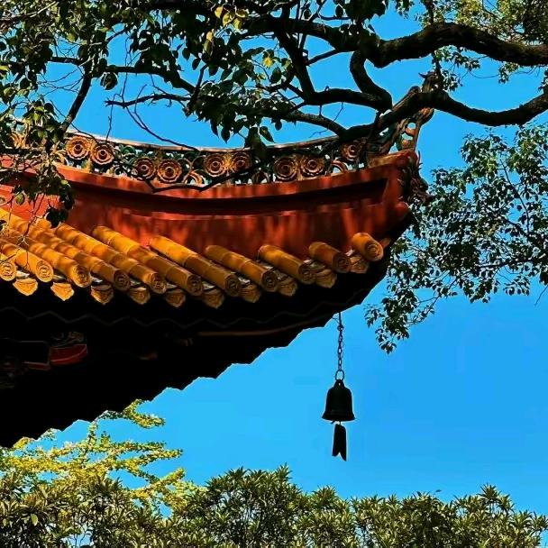 爱玩传统钓的陌生人