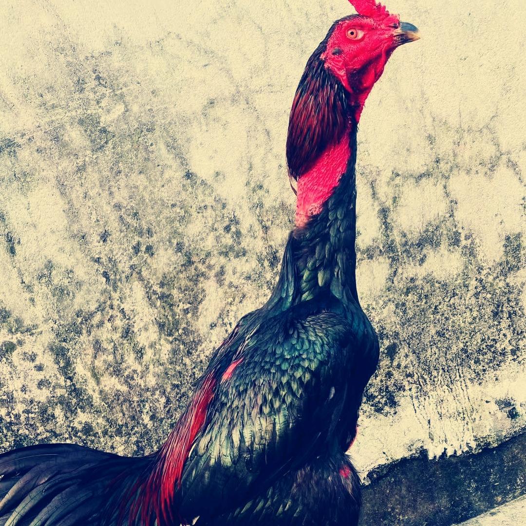 👉😜艾散江😜👈💕🖤