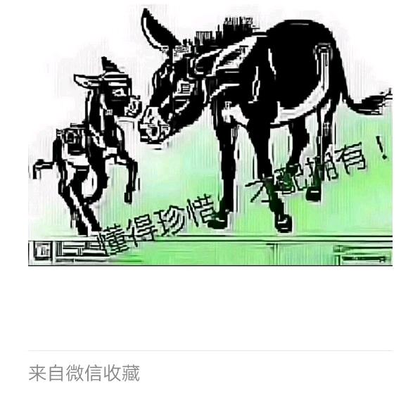 退隐江湖❤️Be.in.touch从❤️