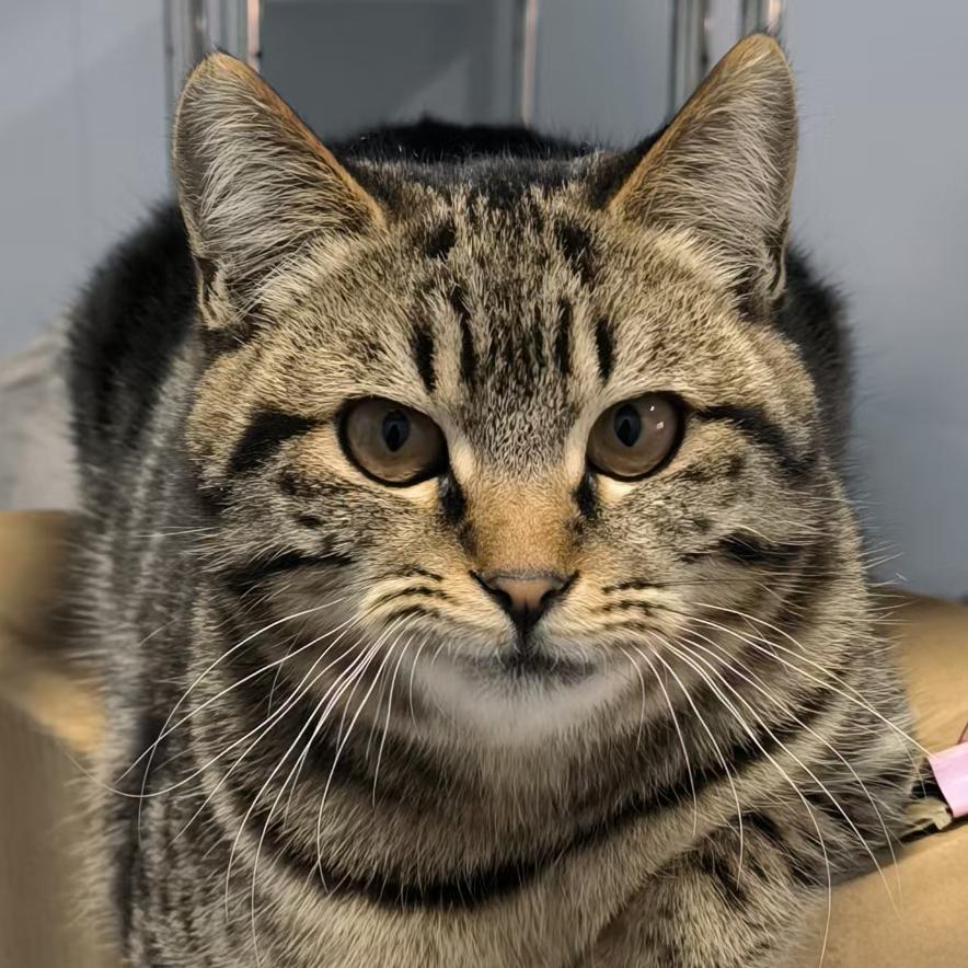 不上不下不左不右