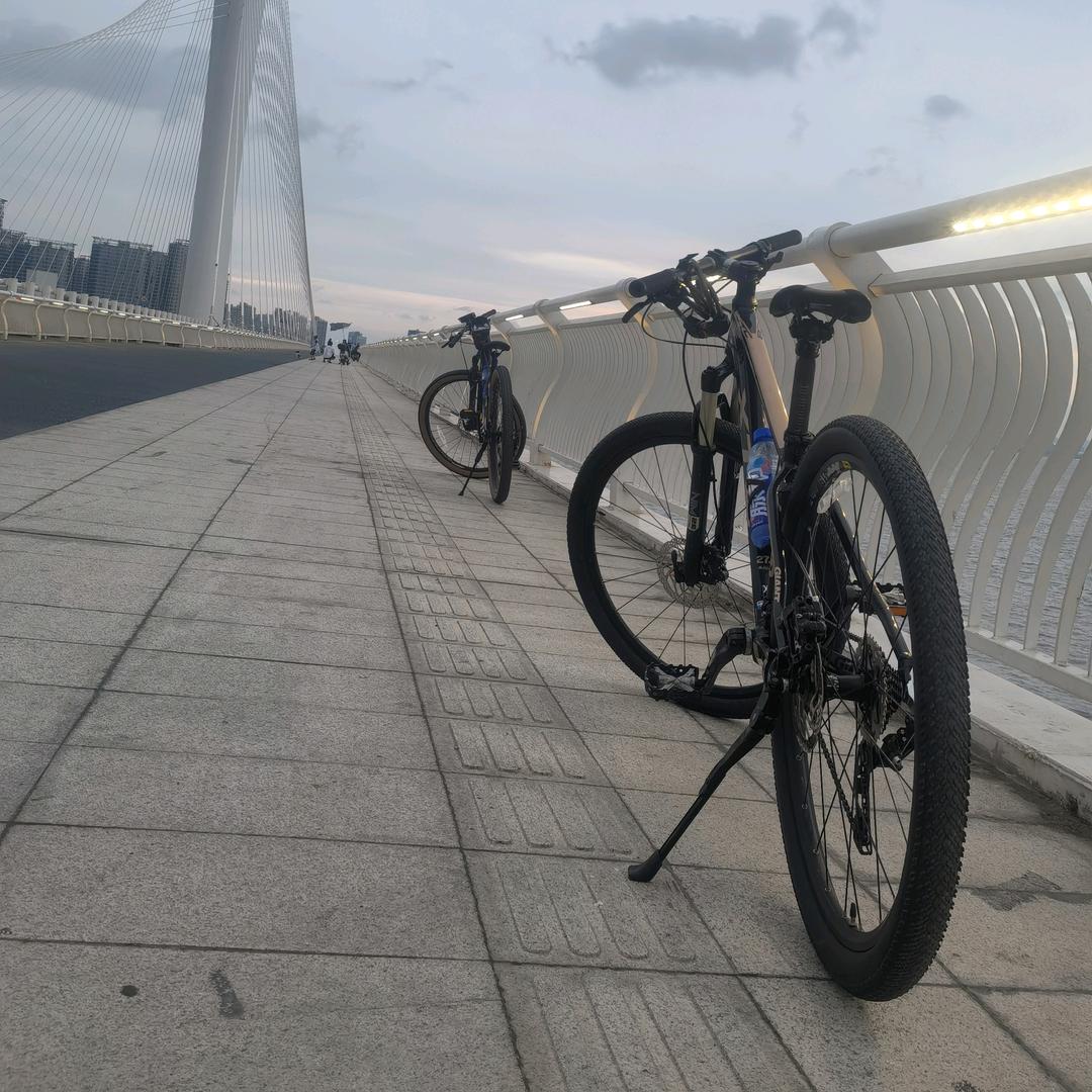 林深方见鹿（万顺）