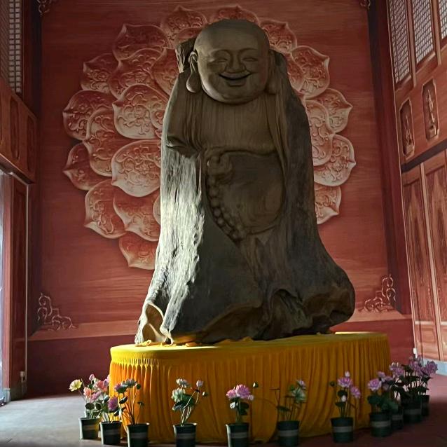 生命有你