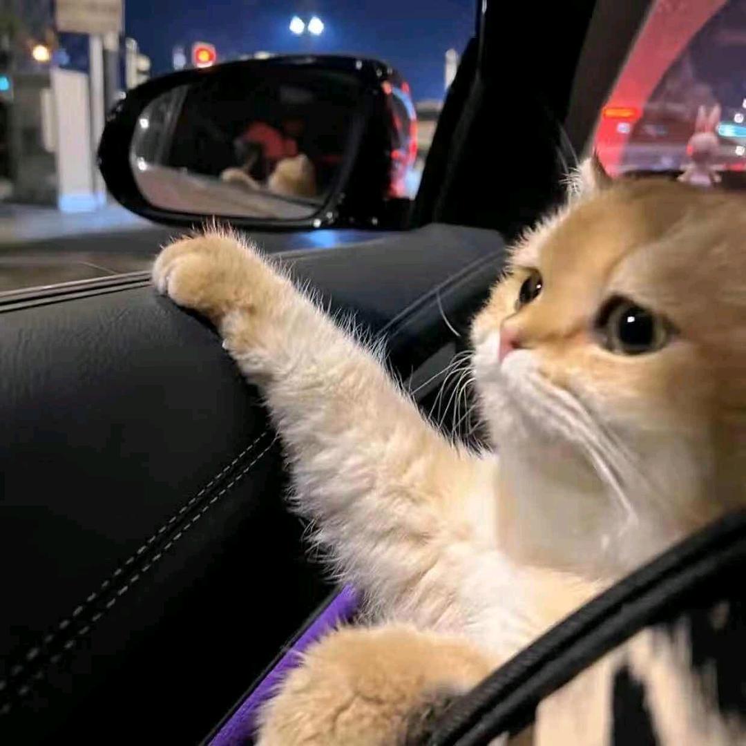 造化弄人