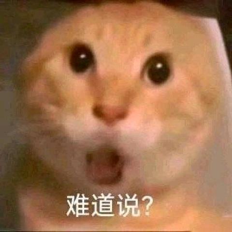 哈基狼（接跑刀）