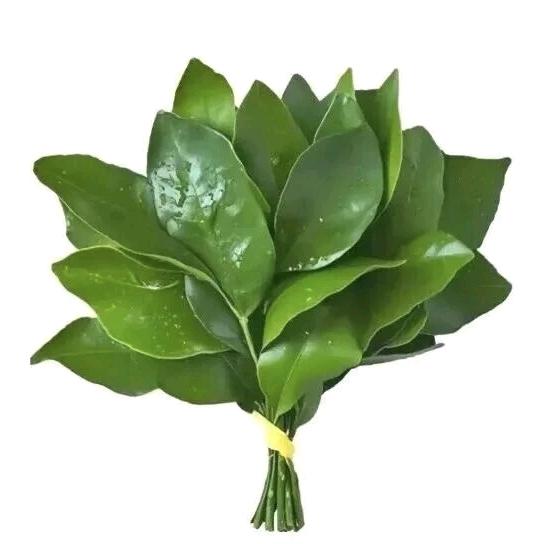 廾匸你