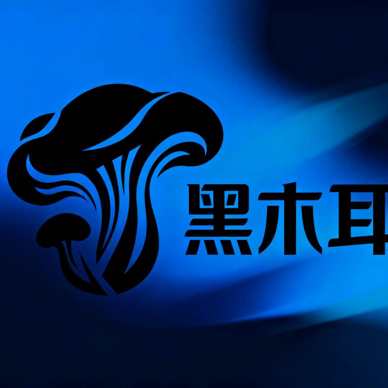 老王有货