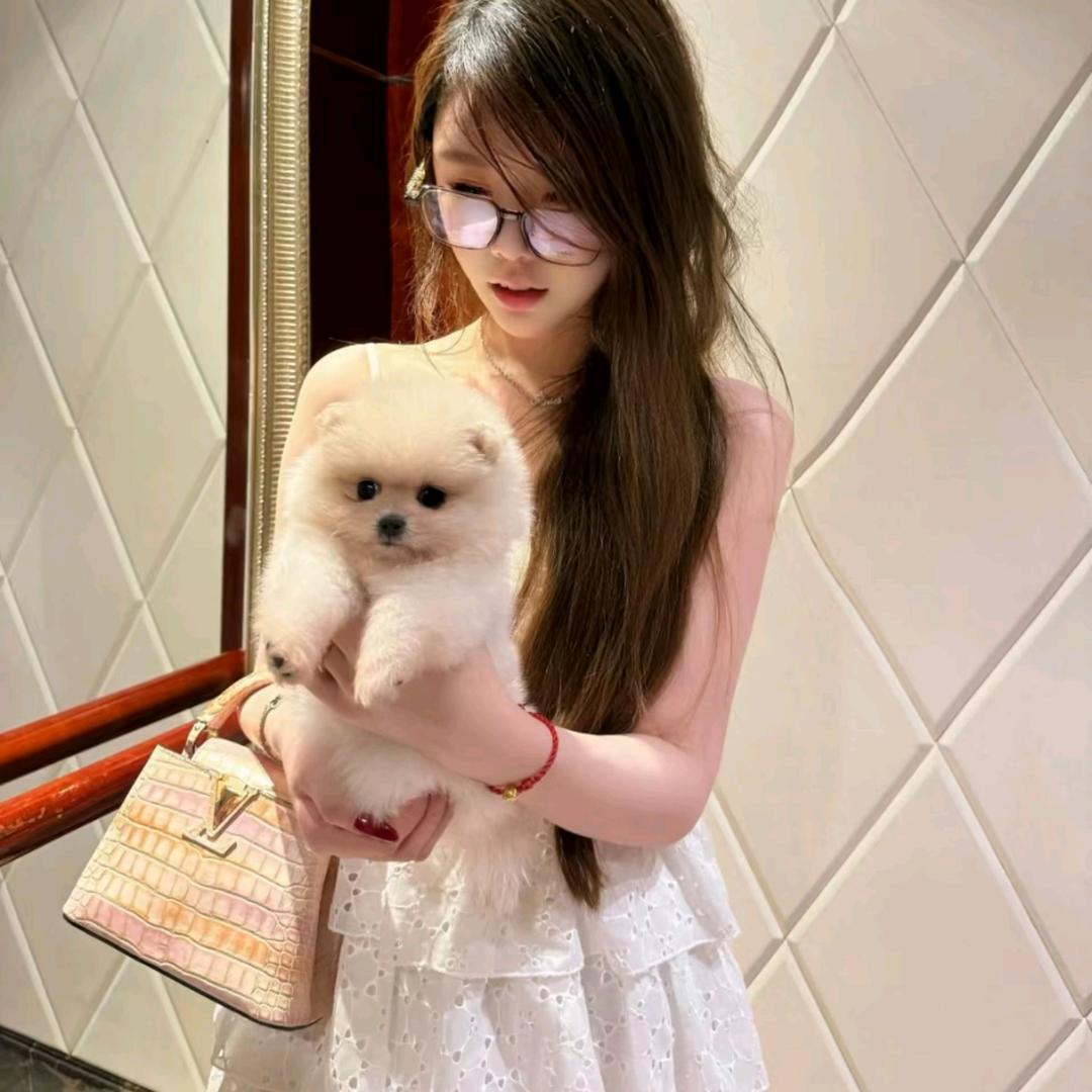 想见你^_^