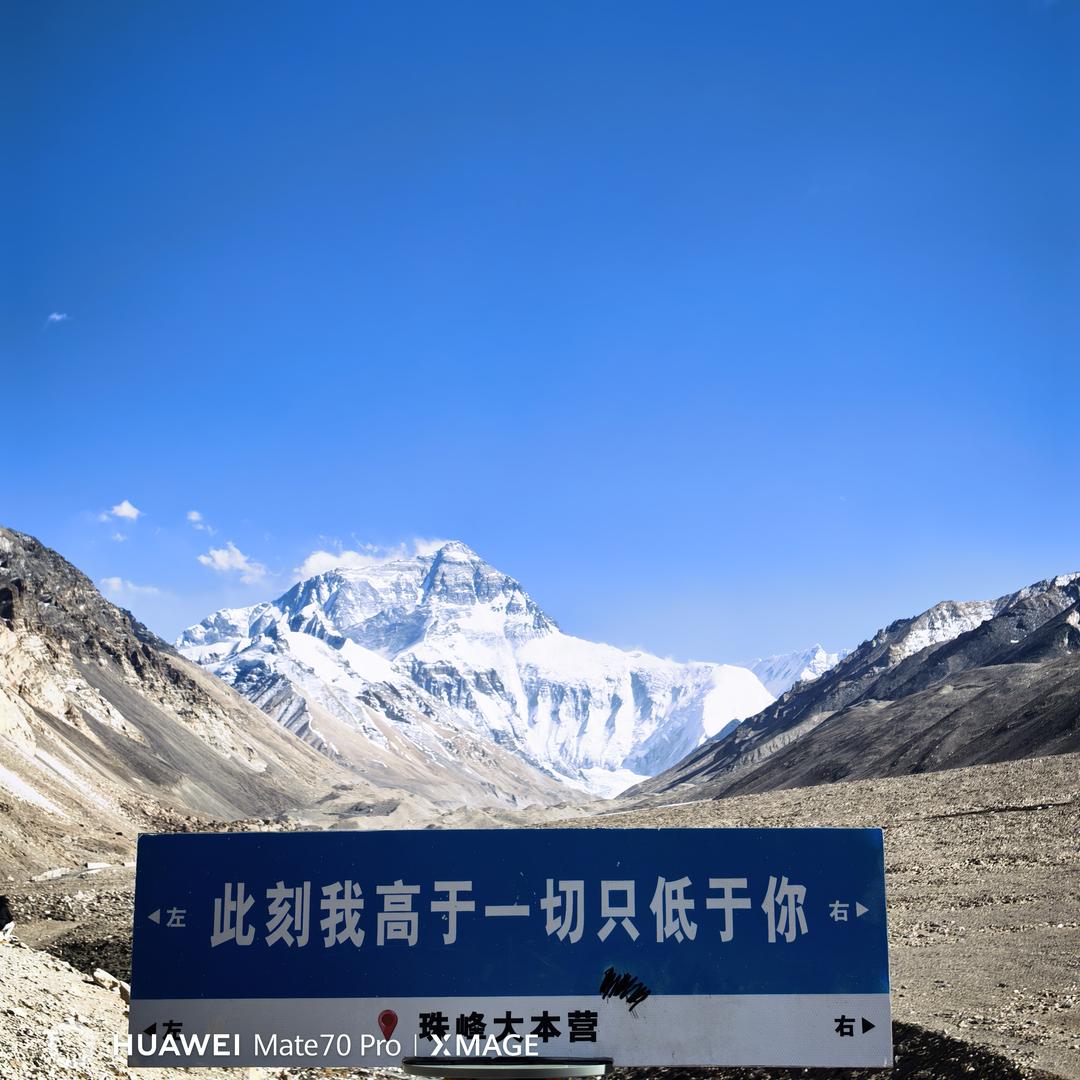 梦太晚