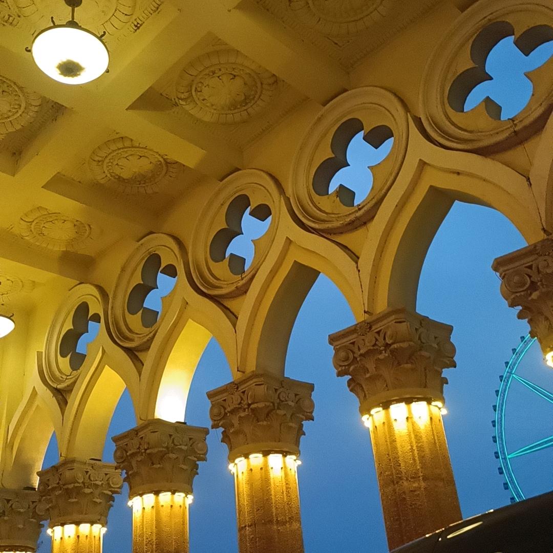 向日葵花开（蓬）