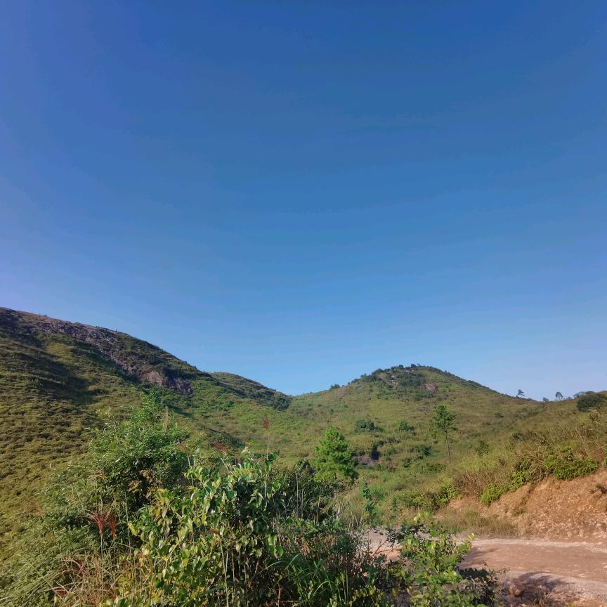 林总（荟馆下咪)