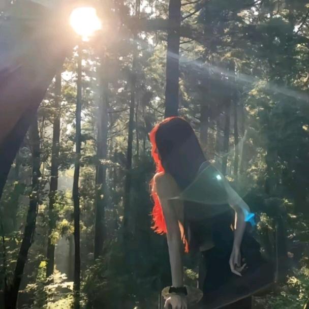 乖乖的银河系闪耀星