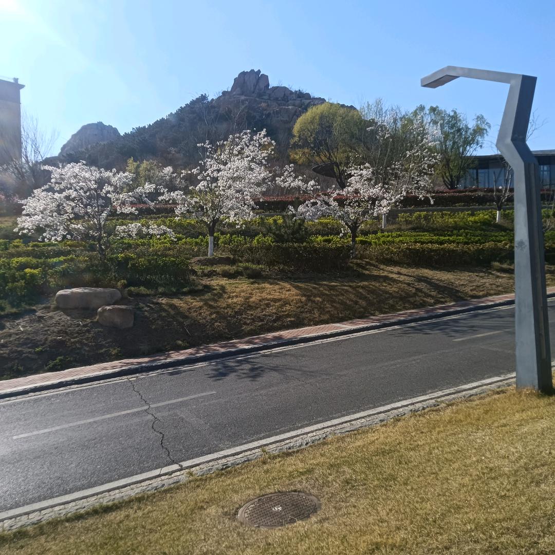 坚持就是胜利。