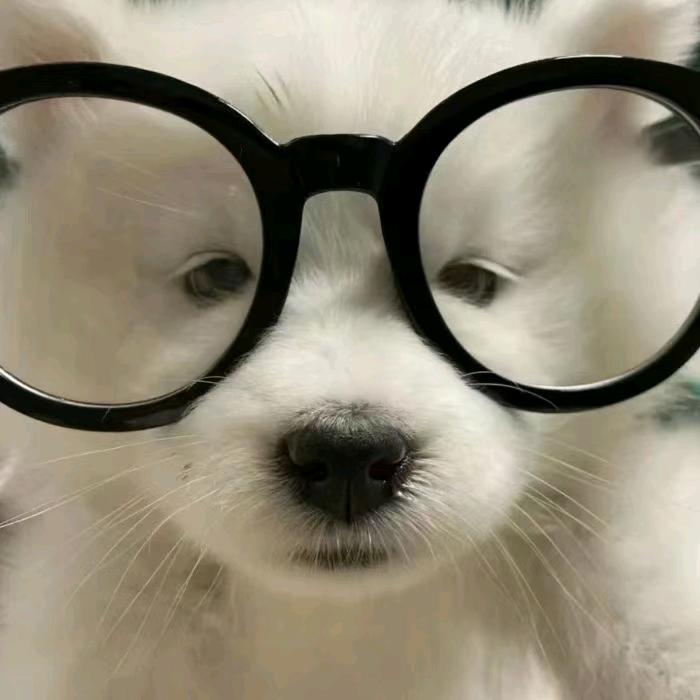 树欲静.